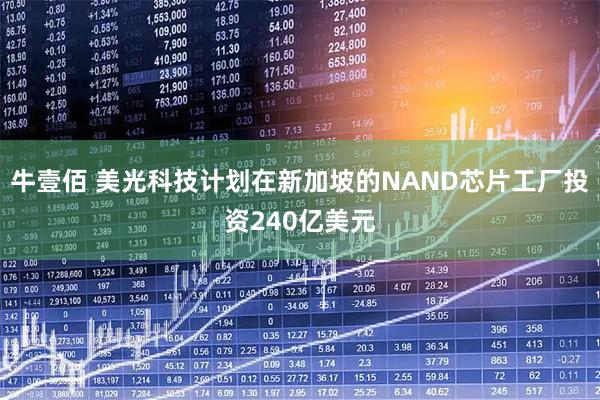 牛壹佰 美光科技计划在新加坡的NAND芯片工厂投资240亿美元
