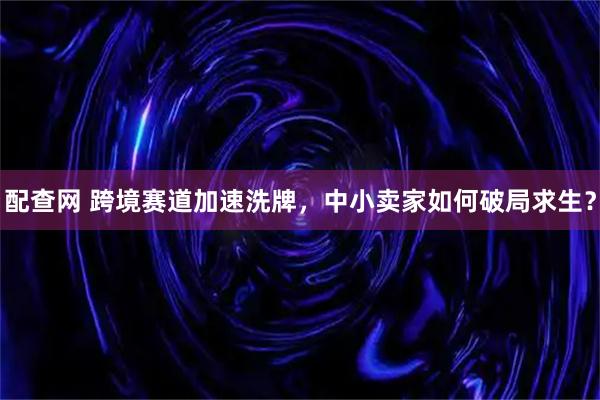 配查网 跨境赛道加速洗牌，中小卖家如何破局求生？